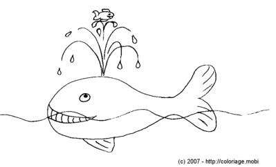 Une baleine qui joue avec un poisson -- 30/04/07 Une baleine qui joue avec un poisson -- 30/04/07