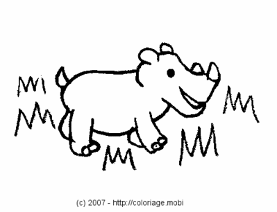 Un bébé rhinocéros -- 05/05/07 Un bébé rhinocéros -- 05/05/07