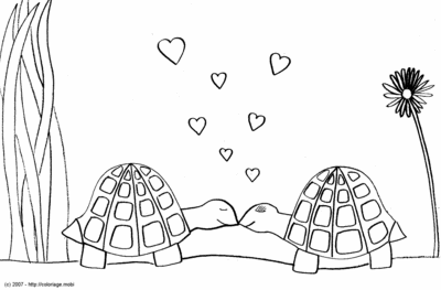 Bisou Tortue -- 20/04/07
