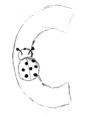 C comme Coccinelle - Margaux, 11 ans -- 01/11/07