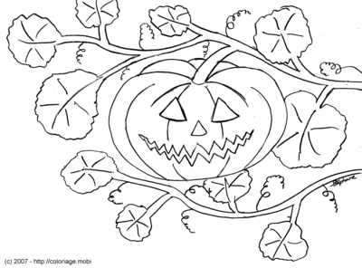 Citrouille d'Halloween -- 19/09/07