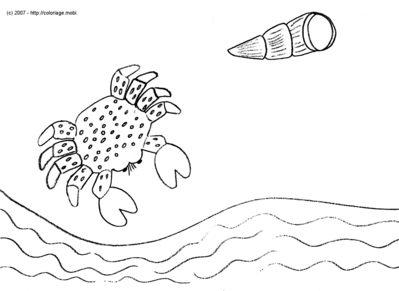 Le dernier crabe de l'�t� -- 27/08/07