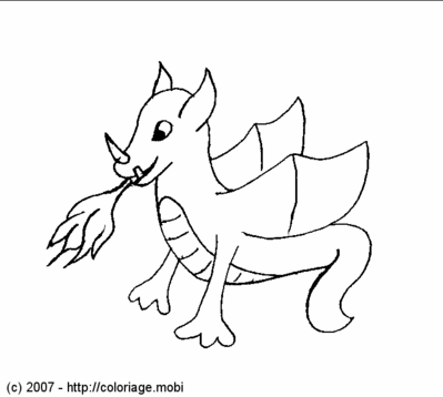 Un petit dragon -- 02/05/07 Un petit dragon -- 02/05/07
