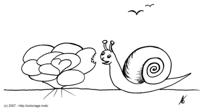 Le d�jeuner de l'escargot -- 01/08/07