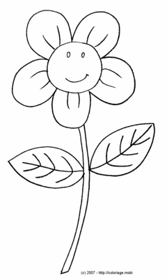 Une fleur tr�s souriante -- 29/03/07