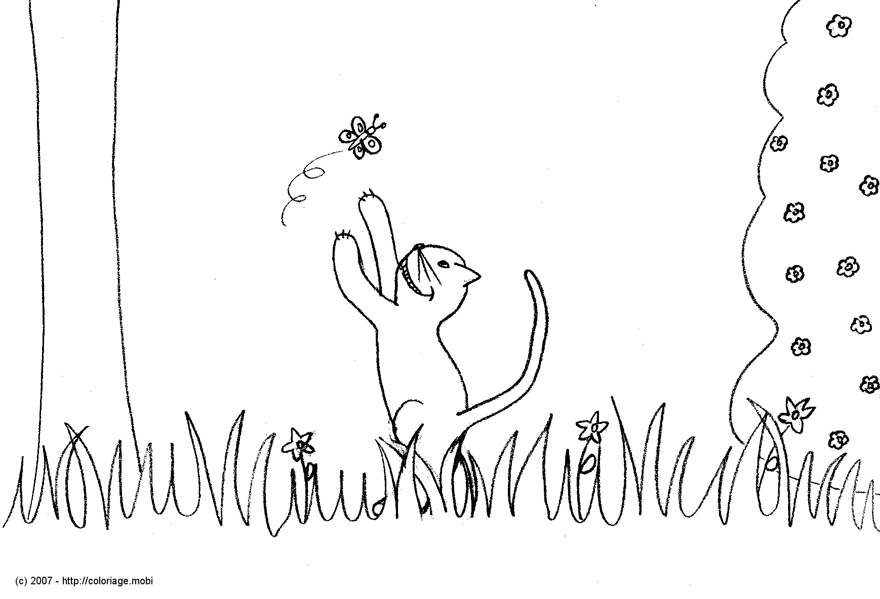 coloriage famille chats quelques liens correspondant la recherche "coloriage chat oiseau" coloriage images planete coloriage coloriage coloriage chat 1