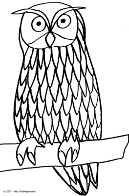 Hibou -- 24/07/07