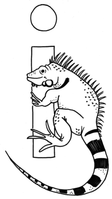 I comme Iguane - Laurence -- 04/11/07