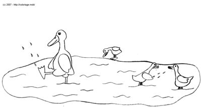La mare aux canards -- 19/07/07