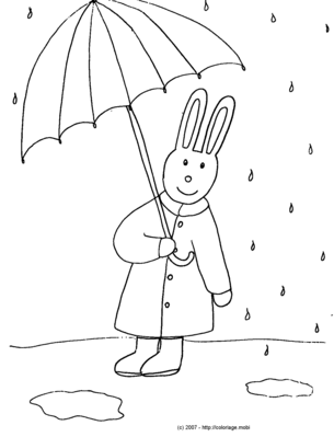 Un lapin sous la pluie -- 24/03/07