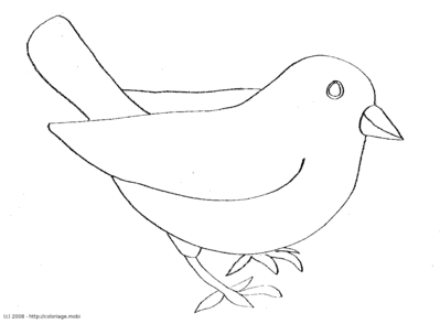 Oiseau&nbsp;: moineau -- 24/06/08