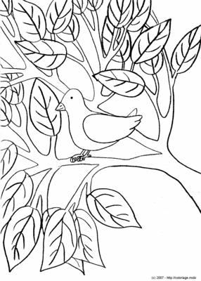 Oiseau sur sa branche -- 29/03/07