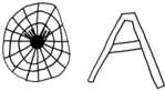 A comme Araign�e - Claire, 6 ans -- 18/10/07