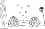Bisou Tortue -- 20/04/07