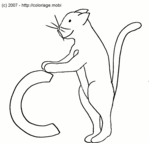 C comme Chat -- 01/09/07