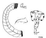 C comme Chien - Cindy, 10 ans -- 25/09/07