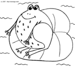 Crapaud -- 24/07/07