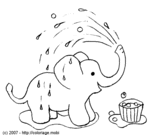 Un �l�phant qui prend sa douche&nbsp;! -- 01/05/07