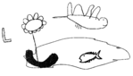 L comme Libellule - Mat�o, 4 ans -- 31/10/07