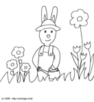 Lapin dans son jardin -- 04/03/07