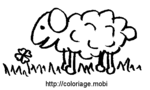 Mouton -- 25/07/07