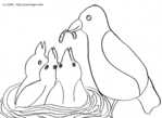 Maman oiseau donne la becqu�e � ses petits -- 27/06/08