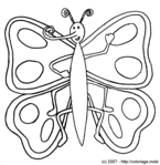 Bonjour Papillon&nbsp;! -- 14/01/07