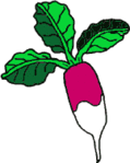 Plantes et Jardins