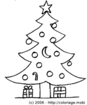 Sapin -- 20/12/06