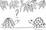 Une demoiselle tortue � fleurs �tonne un monsieur tortue -- 25/04/07