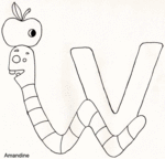 V comme Ver - Amandine -- 24/09/07