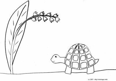 Harvey la Tortue et le Muguet -- 19/04/07